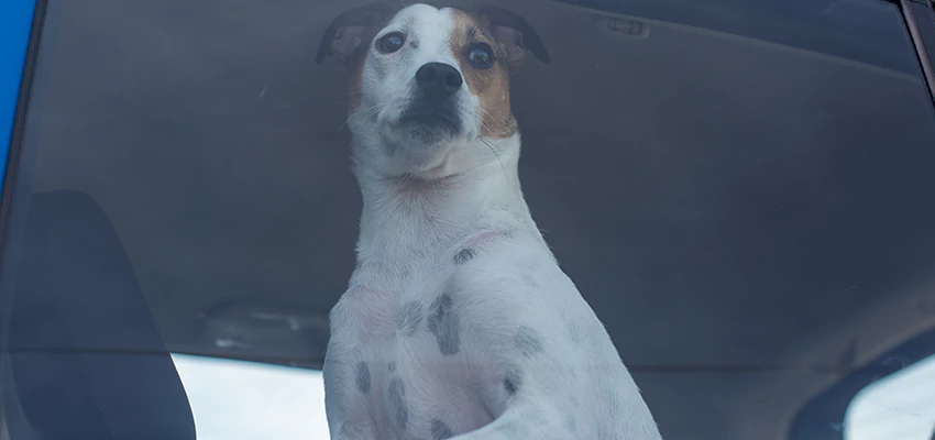 Car Lockout Solutions in Saratoga, California